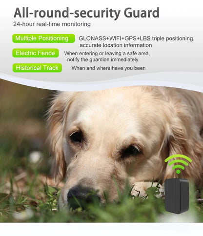 Mini traceur GPS 4G pour chiens, animaux domestiques, enfants, localisateur de voiture personnel, dispositif de suivi anti-perte, moniteur vocal, GSM GPRS, application en ligne gratuite sur le site Web