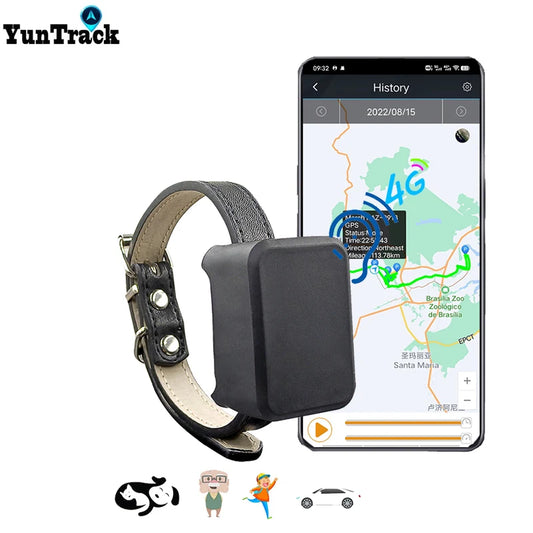 Mini traceur GPS 4G pour chiens, animaux domestiques, enfants, localisateur de voiture personnel, dispositif de suivi anti-perte, moniteur vocal, GSM GPRS, application en ligne gratuite sur le site Web