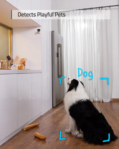 Caméra IP eufy Security Solo IndoorCam C24 Wifi 2K Audio bidirectionnel Caméra Wi-Fi Human Pet AI Fonctionne Assistants vocaux Vision nocturne