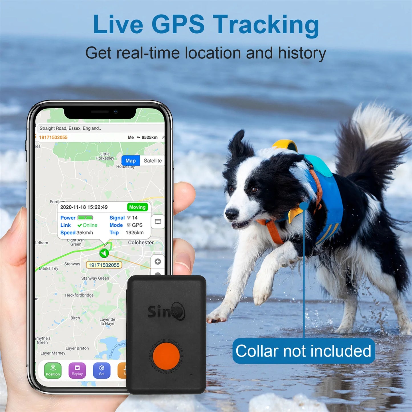 SinoTrack 2G/4G GPS Tracker Mini batterie intégrée étanche ST-904L pour enfants voiture personnelle appareil pour animaux de compagnie avec application de suivi gratuite